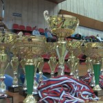 состоялся 8 турнир по каратэ на кубок международной ассоциации ветеранов подразделения Антитеррор Альфа